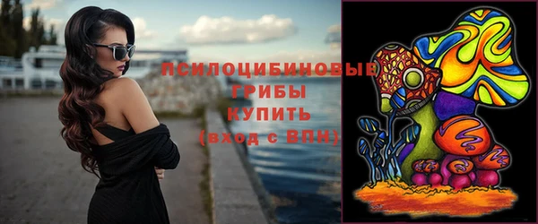 герыч Зерноград