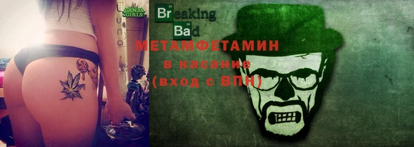 прущие грибы Зеленодольск