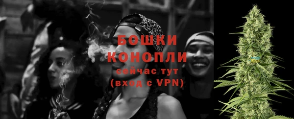 прущие грибы Зеленодольск
