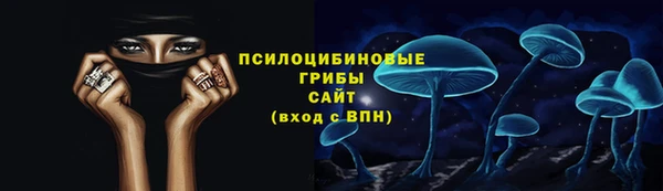 первитин Инта