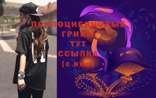 герыч Зерноград