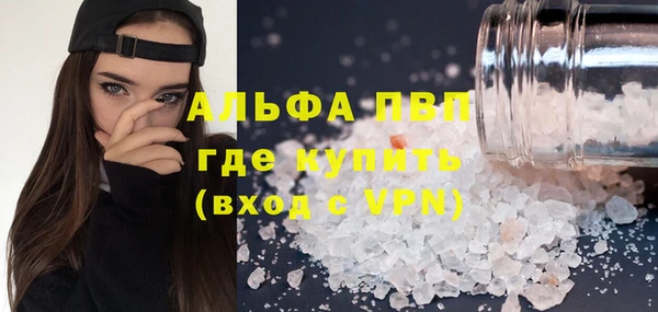 прущие грибы Зеленодольск