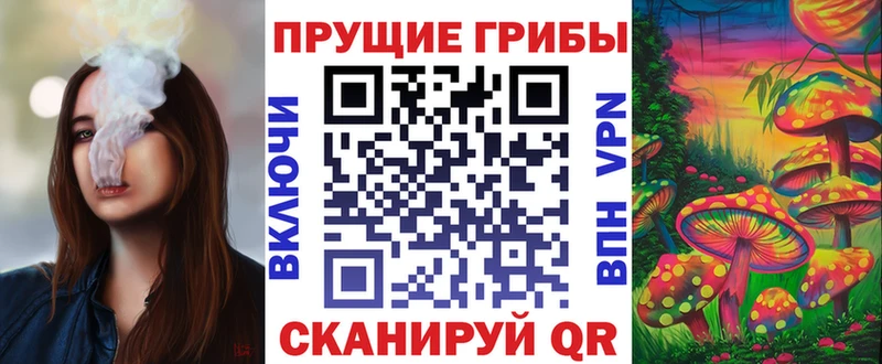 Галлюциногенные грибы мицелий  Купить где  Светлогорск 